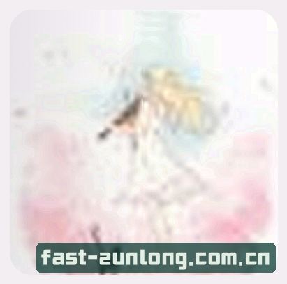吴总